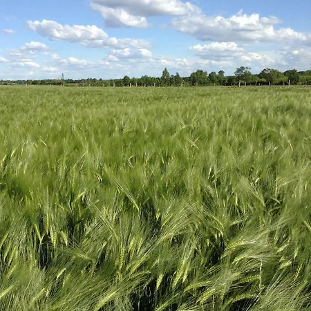 Logis De Guitres - Chambres D'hotes Chassors